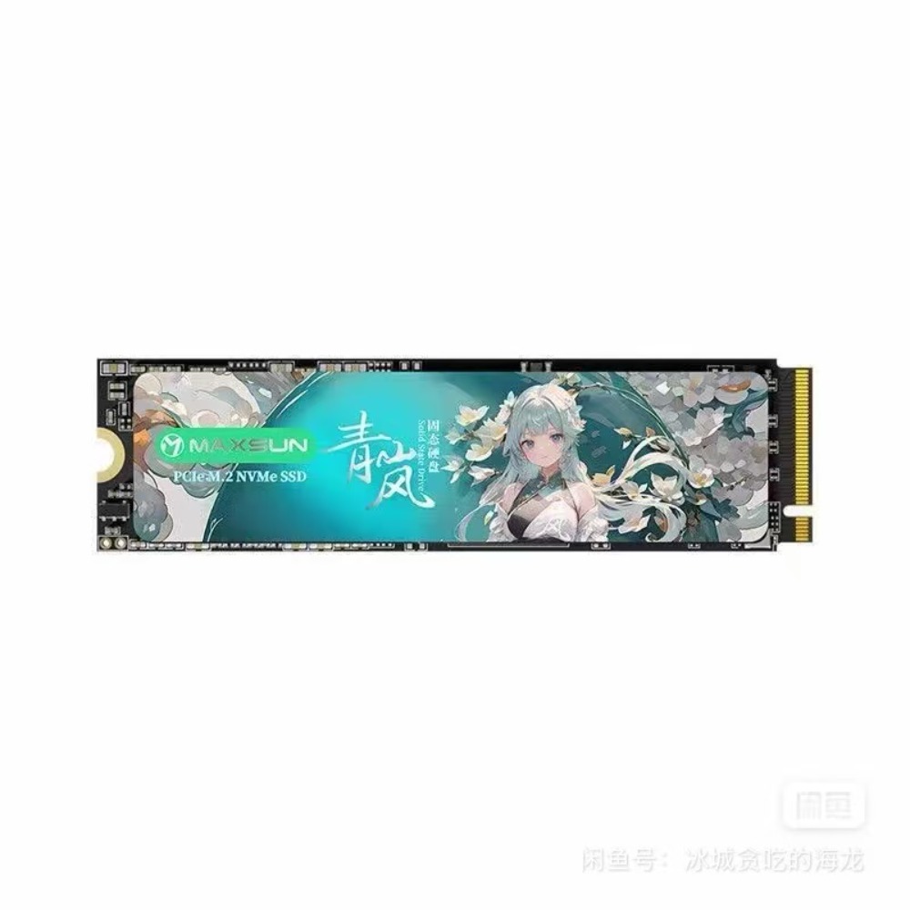 Minisun Qinglan NM300A, SSD de - M.2 Ssd avis et prix