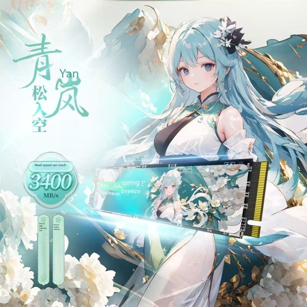 Disque SSD Mingxuan 1 To NM300 - M.2 Ssd avis et prix