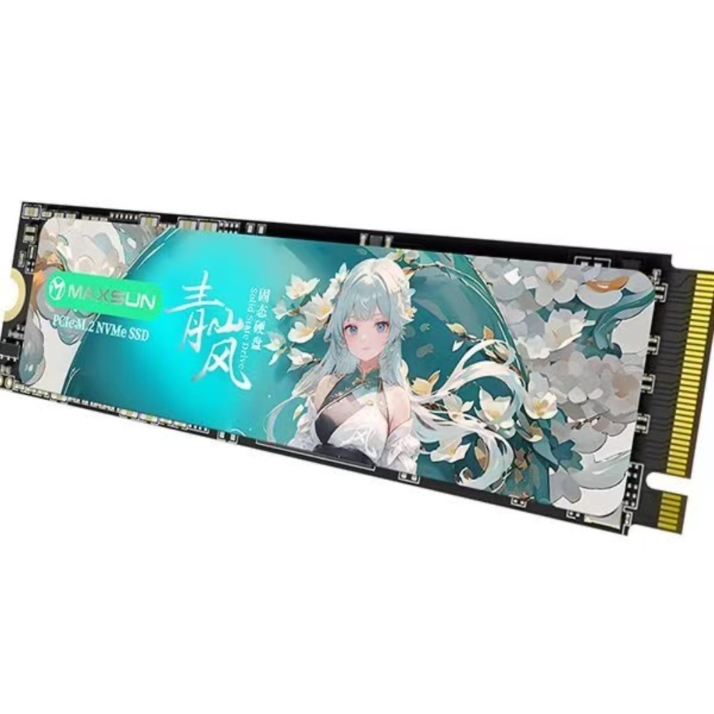Disque SSD Mingxuan 1 To NM300 - M.2 Ssd avis et prix