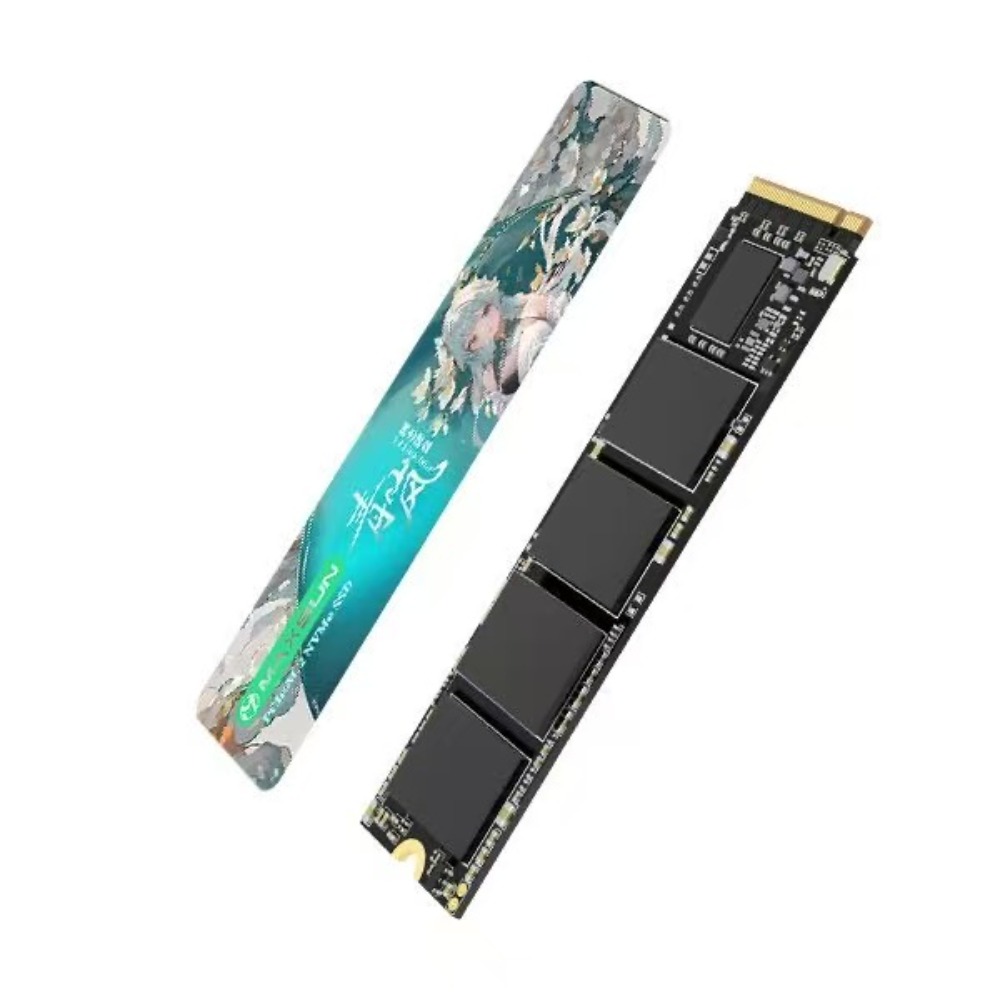 Disque SSD Mingxuan 1 To NM300 - M.2 Ssd avis et prix